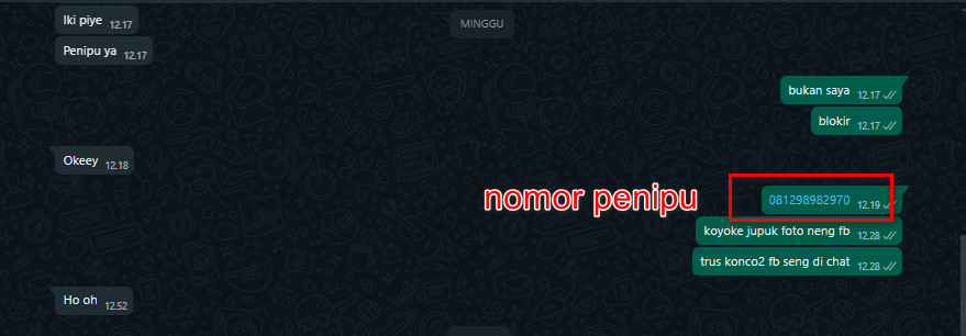Tangkapan layar konfirmasi nomor wa penipu. Foto L tangkapan layar kang ben