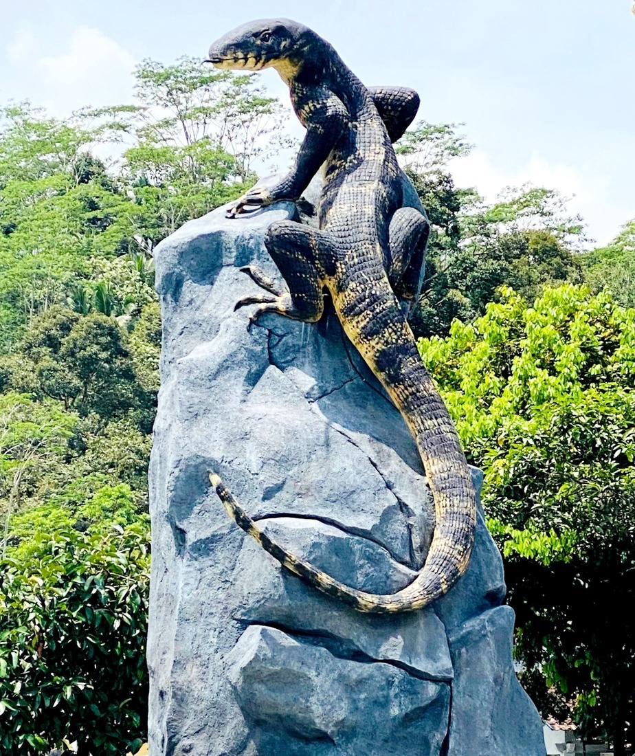 Tugu Biawak Wonosobo, Ikon Baru di Wonosobo Dibangun dengan Dana 50jt. Foto: Nur Alfi Khabibah/gradasigo