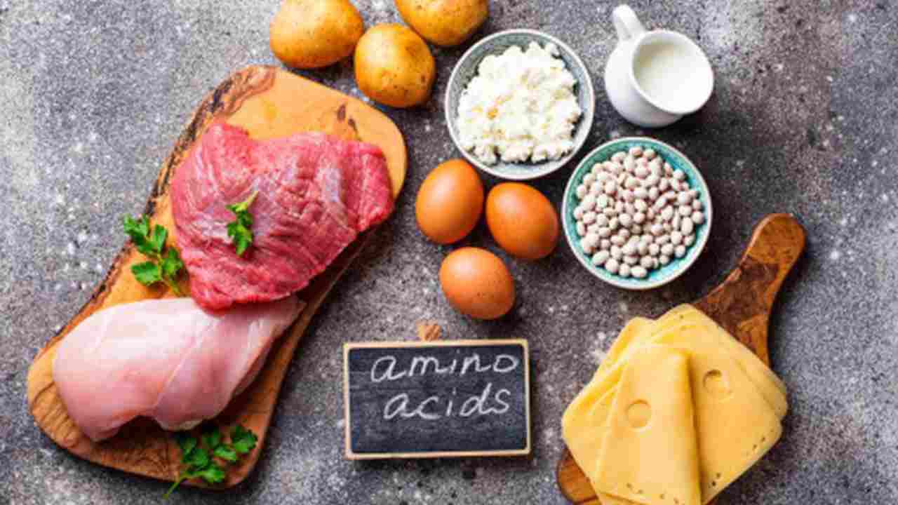 Ilustrasi asam amino esensial. Asam amino esensial terkandung dalam berbagai makanan, tetapi yang paling lengkap ada di makanan sumber protein hewani. Fungsinya untuk mencegah stunting pada anak. Foto: dok. Shutterstock/Yulia Furman