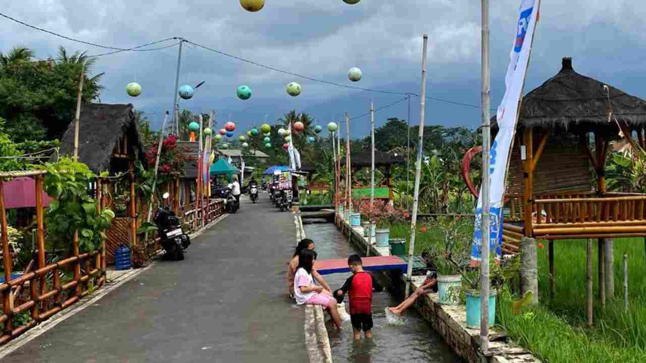 Desa Cikaso Kuningan, Pesona Tersembunyi Sawah Lope, Lumbung Pangan Mandiri, dan Desa Brilian Kebanggaan Jawa Barat. Foto: dok. detikcom