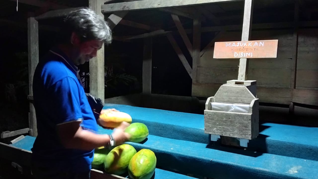 Belanja Buah Pepaya bayar sendiri tanpa penjualnya, di kampung Tampemadoro Kab. Poso. Foto : Dok. Budiman
