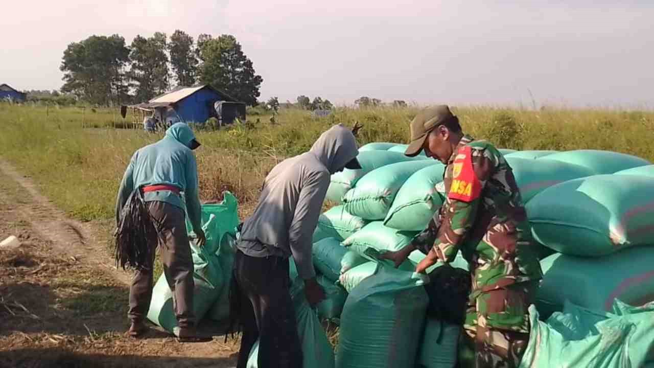 Petani Desa Gajah Mati OKI Berharap Bantuan Transportasi. Foto: Dok. Koramil 402-13/Sungai Menang.