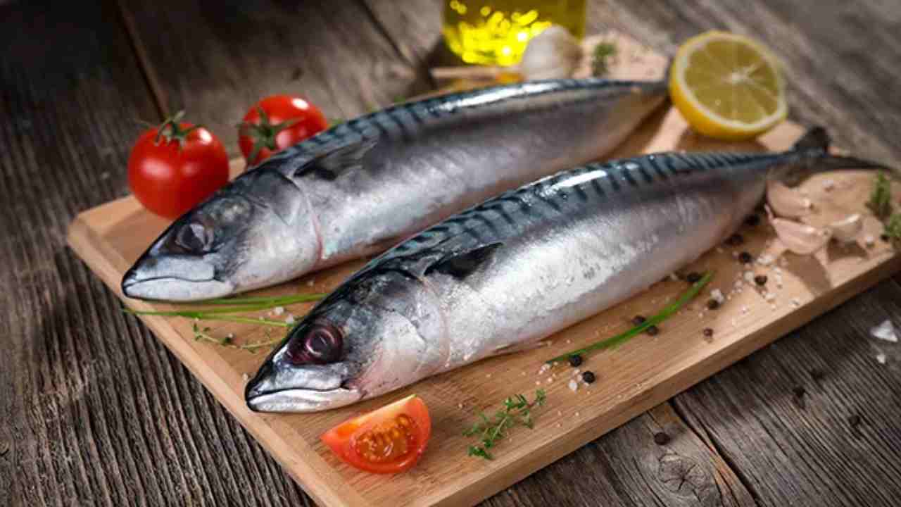 Ikan Kembung, Sumber Gizi Mencegah Stunting dan Anemia. Foto: dok. halodoc.com