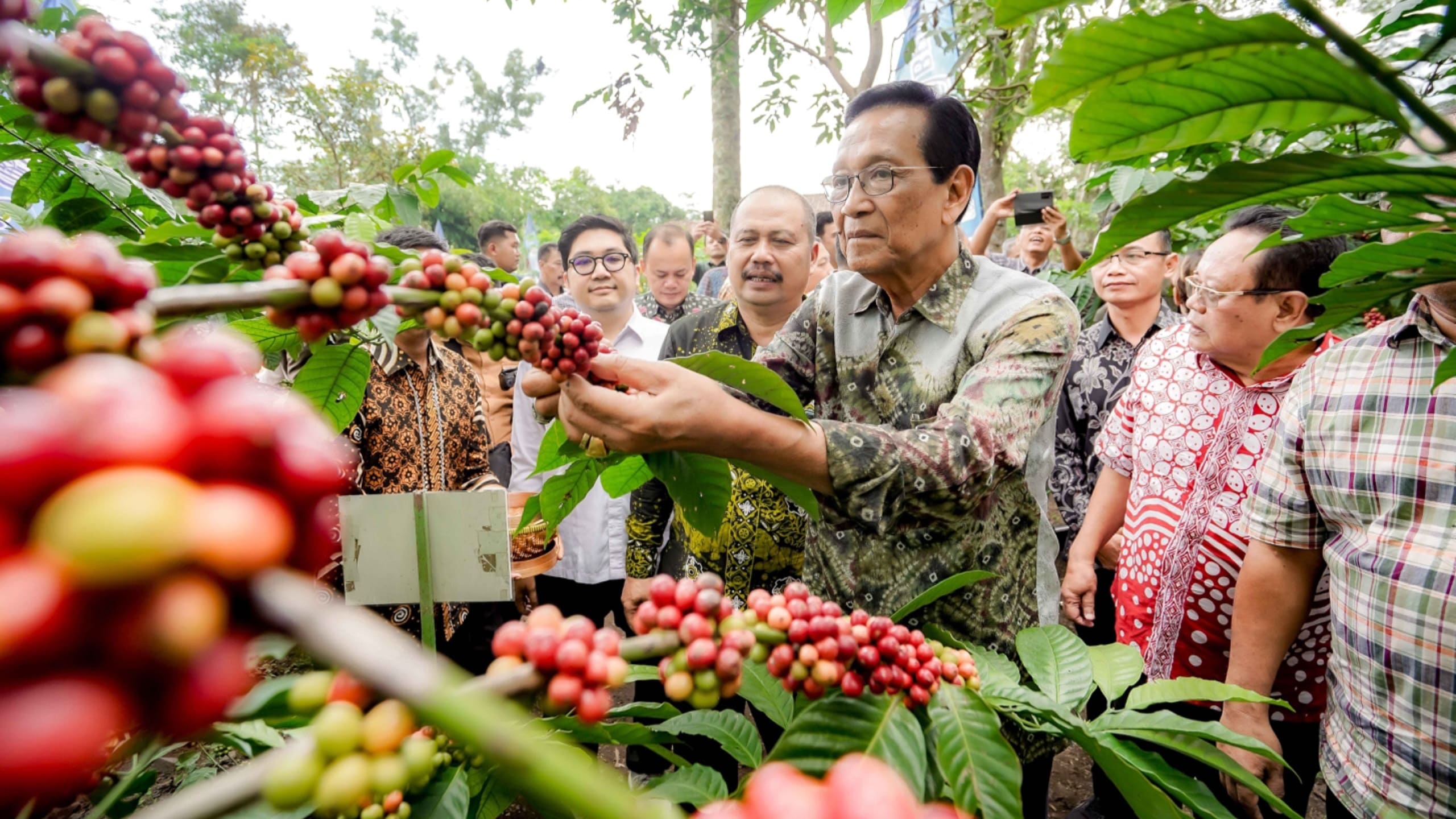 Sri Sultan Panen Perdana Kopi Sleman di Dusun Ploso Kerep, Umbulharjo, Kapanewon Cangkringan, Sleman pada Minggu (15/06/2025). Foto: Jogjaprov.go.id