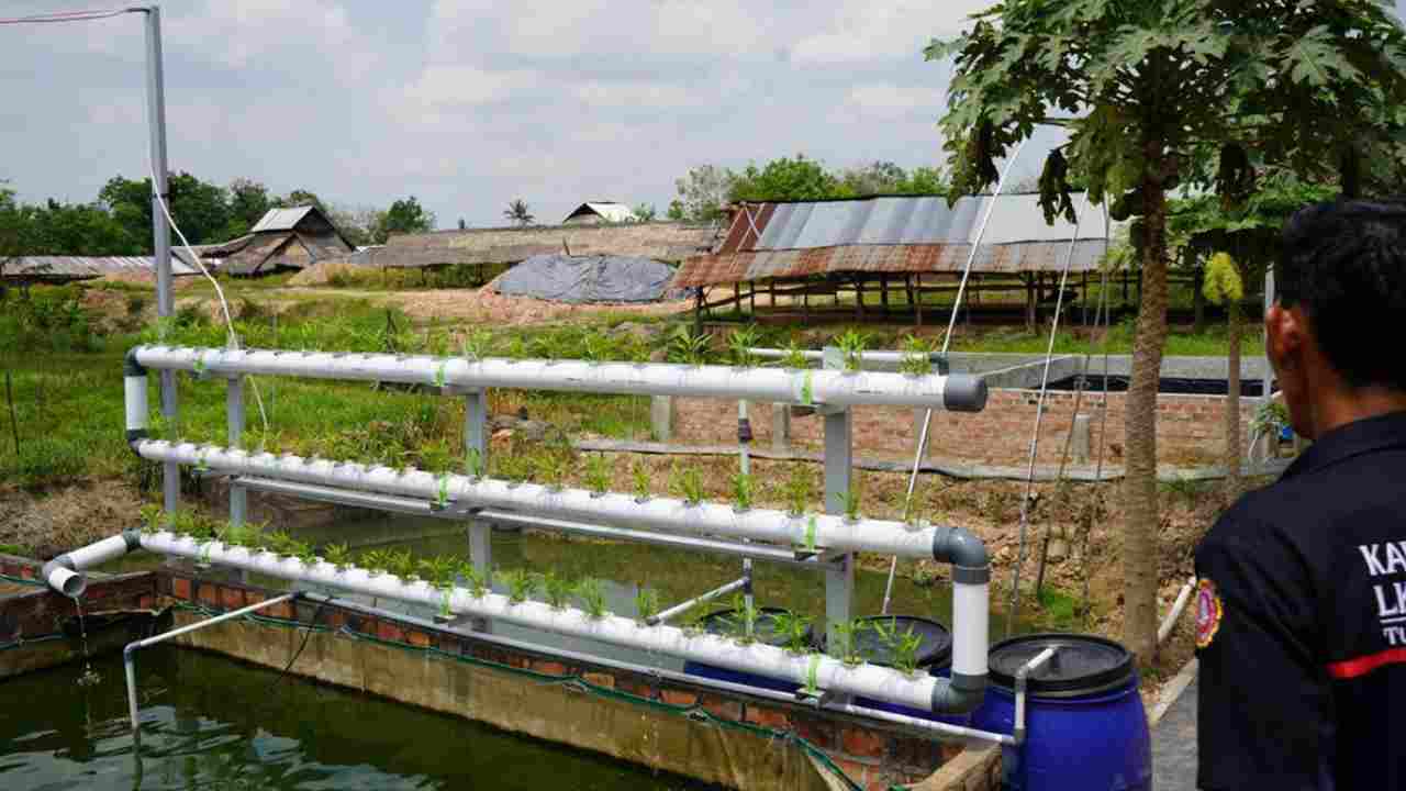 LENTERASUKAMORO, Inovasi PT Bukit Asam Tbk Berdayakan Masyarakat dan Lestarikan Lingkungan di Banyuasin. Sumber: Dokumentasi PT Bukit Asam Tbk.