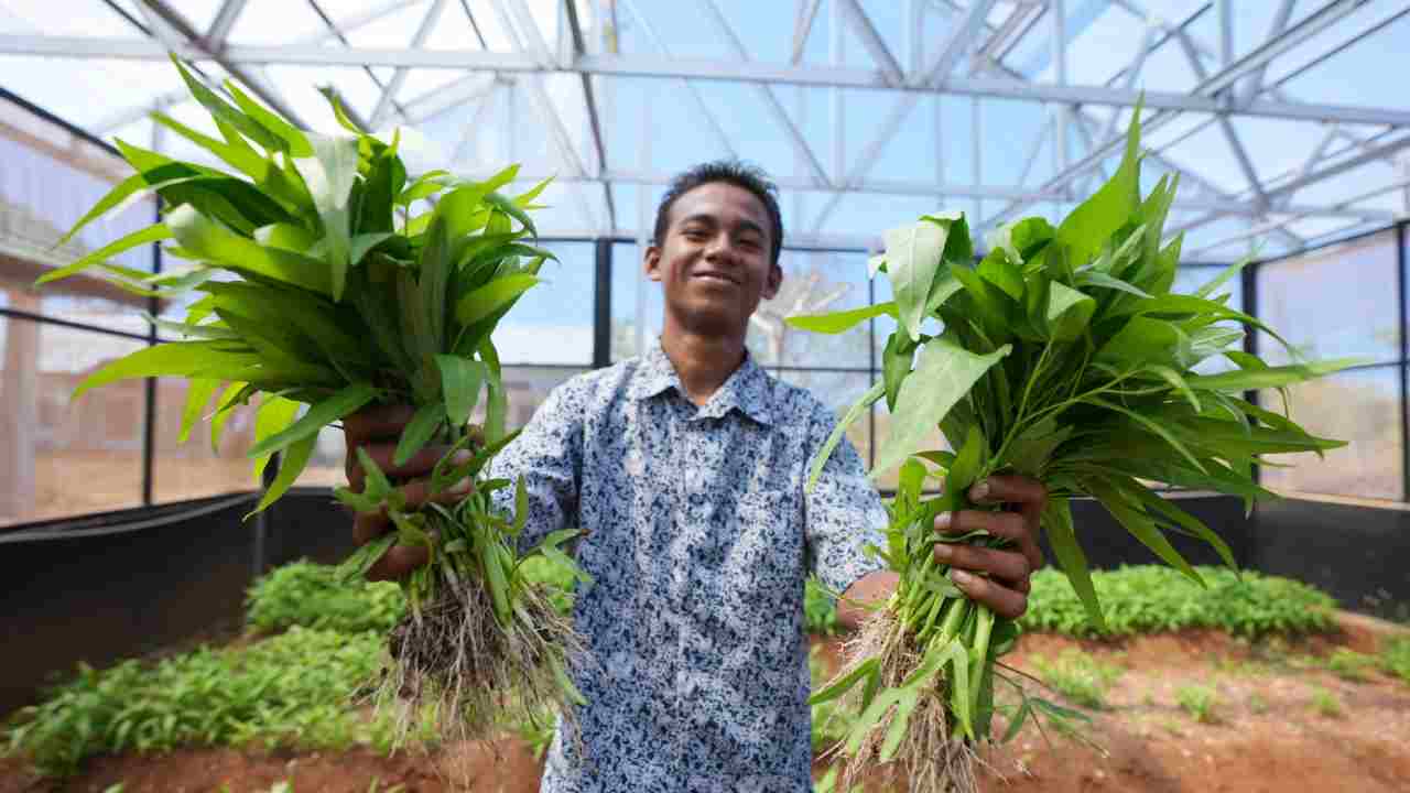 Lima Profesi Menjanjikan Lulusan SMK Agribisnis Tanaman Pangan dan Hortikultura,  Dari Petani Modern hingga Wirausaha Sukses