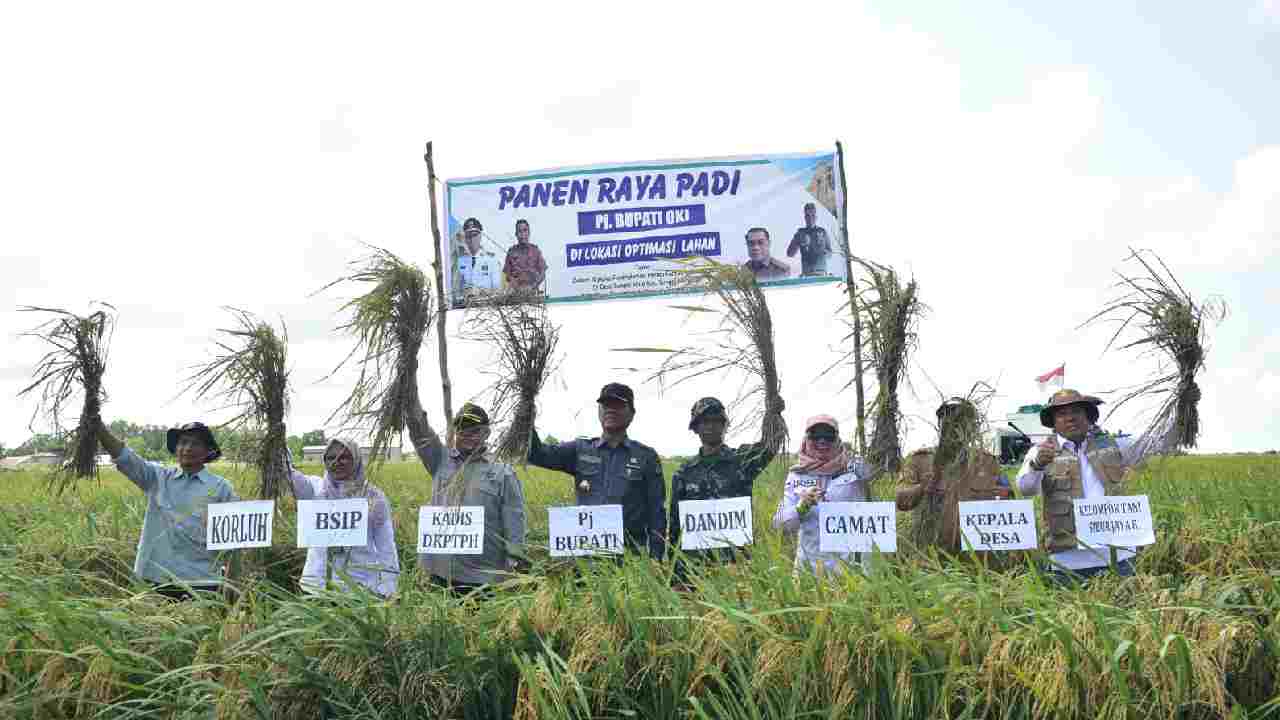 Lumbung Pangan Sumsel, OKI Targetkan Lonjakan Produksi Padi 900 Ribu Ton di 2025. Foto: dok. Diskominfo OKI