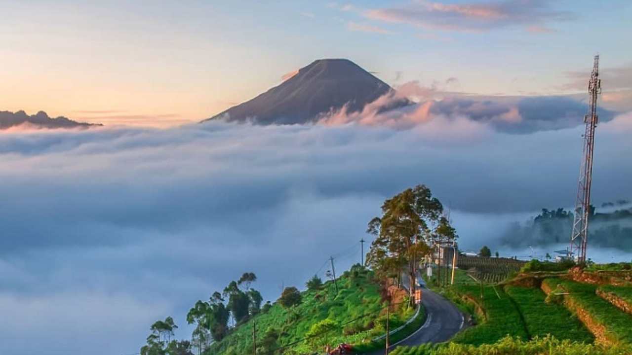 Negeri di Atas Awan, Menyelami Pesona Wonosobo yang Tersembunyi. Foto: chanelmuslim.com