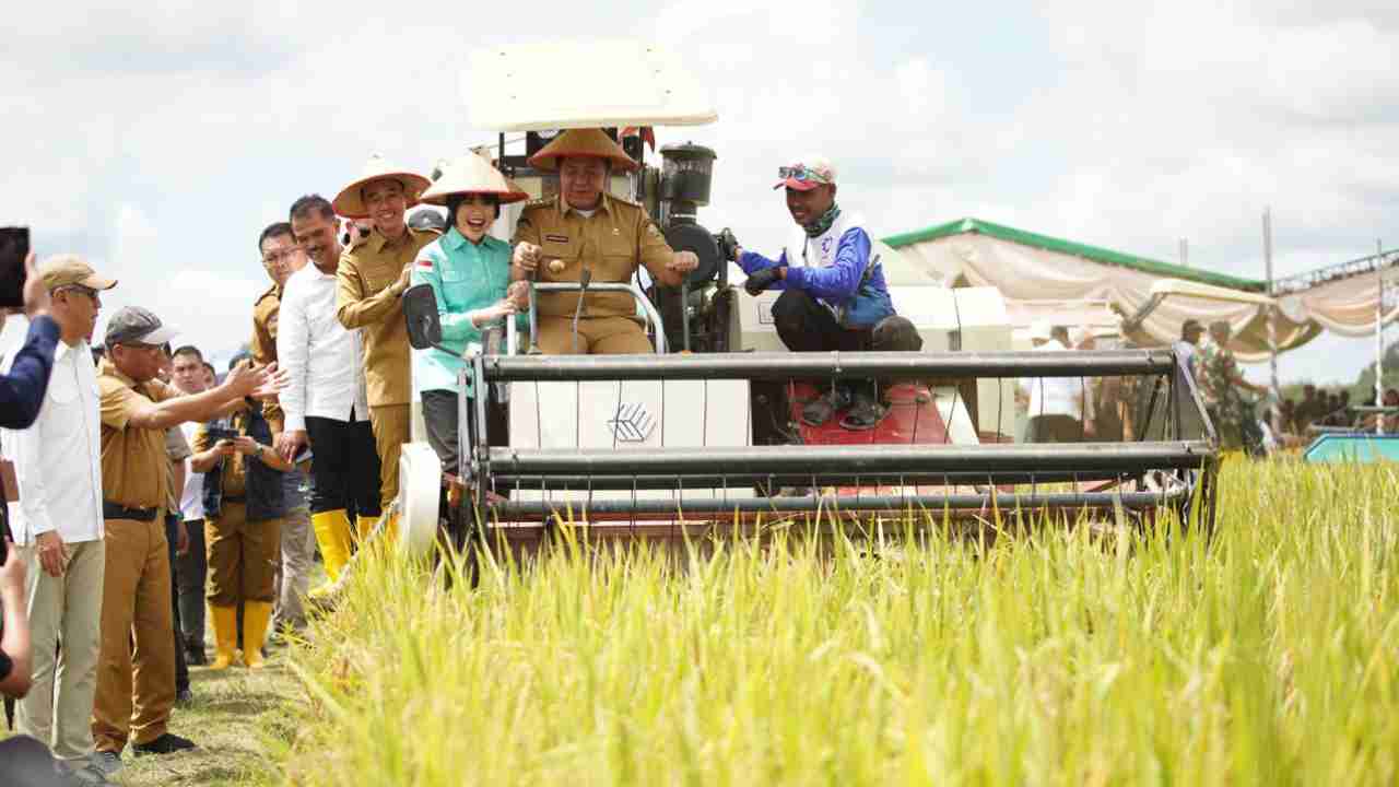 Acara panen raya yang berlangsung pada Senin, 7 April 2025, dipusatkan di lahan pertanian Desa Cahya Maju, Kecamatan Lempuing, Kabupaten OKI. Foto: dok. Diskominfo OKI