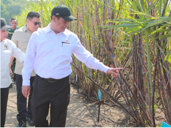 Menteri Pertanian Andi Amran Sulaiman mengumumkan kabar pupuk ZA subsidi kini sudah dapat diberikan kepada petani tebu plasma. Foto: doc pertanian.go.id