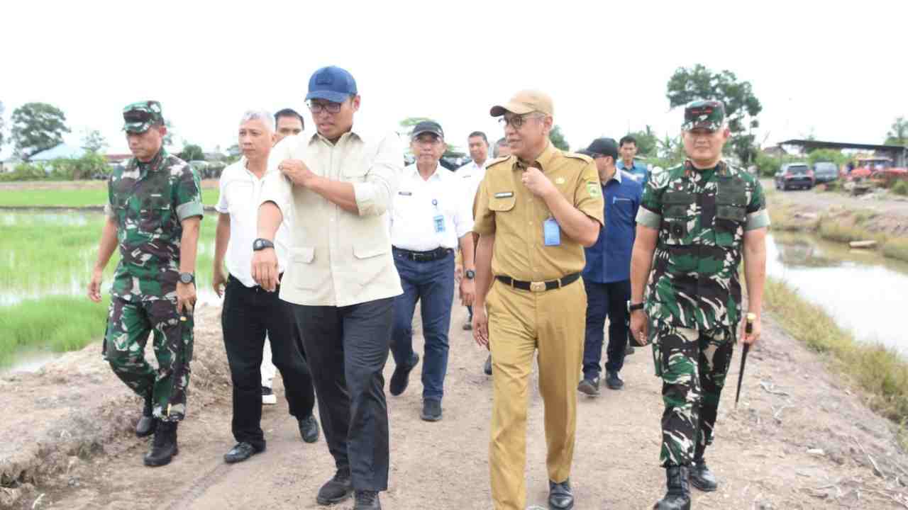 Sumsel Jadi Andalan, Lahan Rawa Disulap Jadi Lumbung Pangan Nasional. Foto: dok. Penrem GAPO