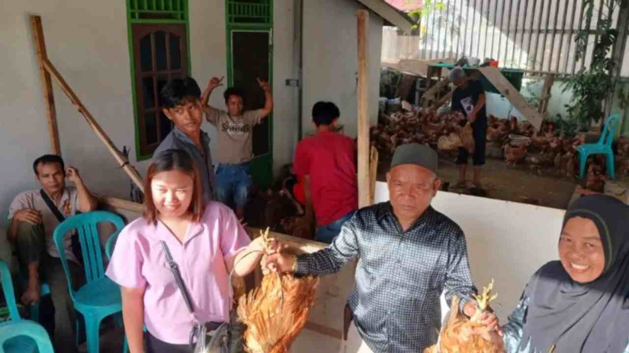 Unik, Warga Palembang Bagikan Ayam Merah Sebagai Bingkisan Lebaran. Foto: dok. sumeksco