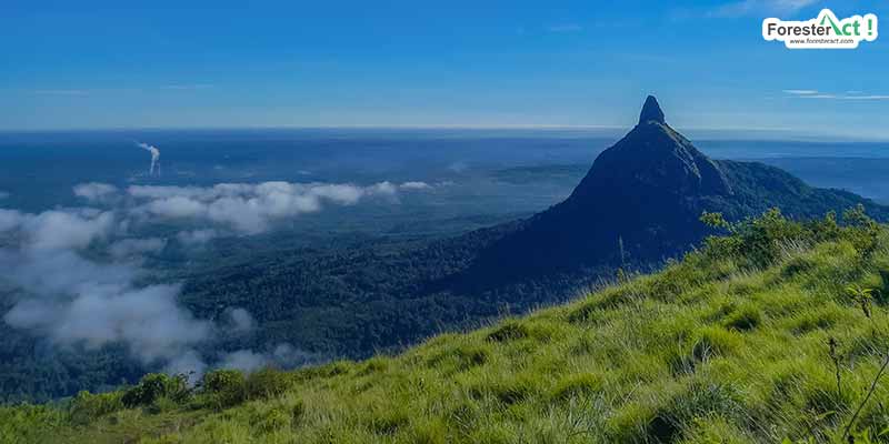 Bukit Besak, Menikmati Keindahan Alam Lahat dari Ketinggian. Foto: dok. foresteract.com