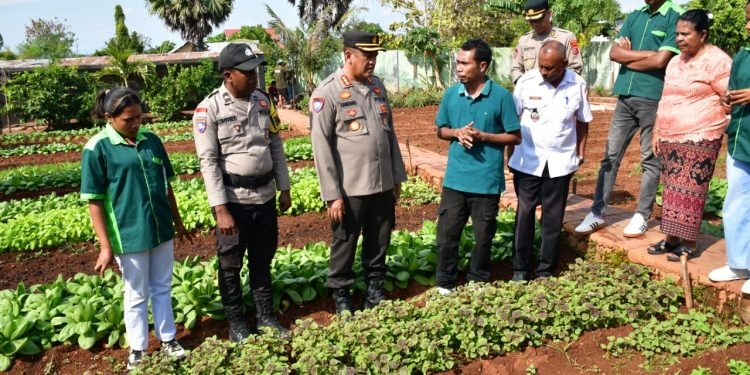 Kunjungan Tim Verifikasi Korbinmas Baharkam Polri datang ke Kupang untuk menilai program unggulan Pekarangan Pangan Bergizi. Foto: tribratanews.polri.go.id